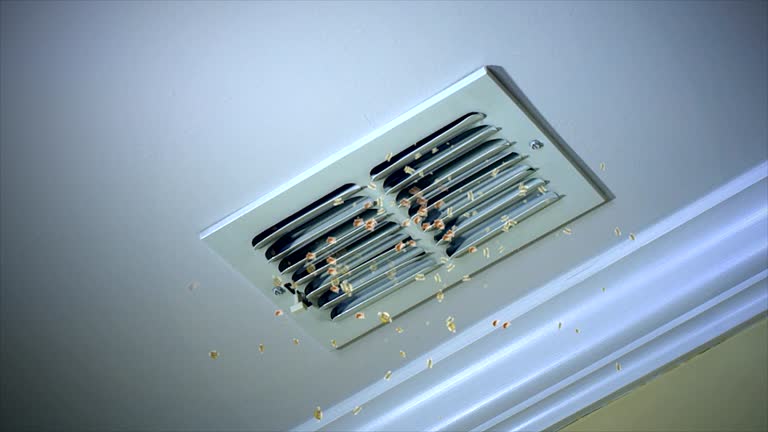 Best Commercial Air Duct Cleaning  in Honeygo, MD