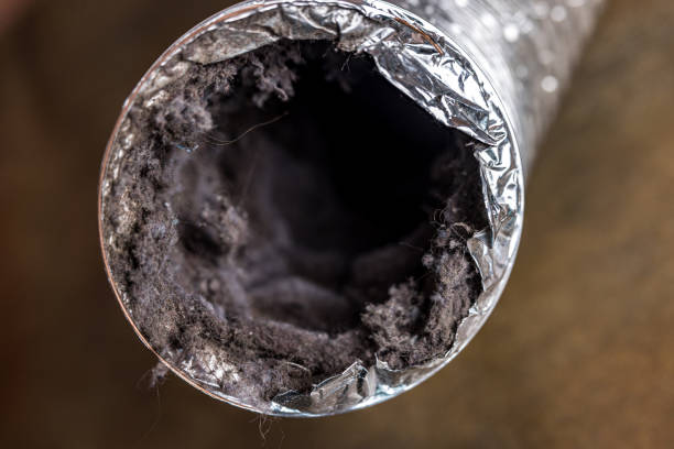 Best Residential Air Duct Cleaning  in Honeygo, MD